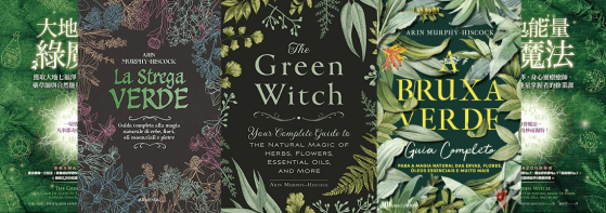 Book covers of The Green Witch