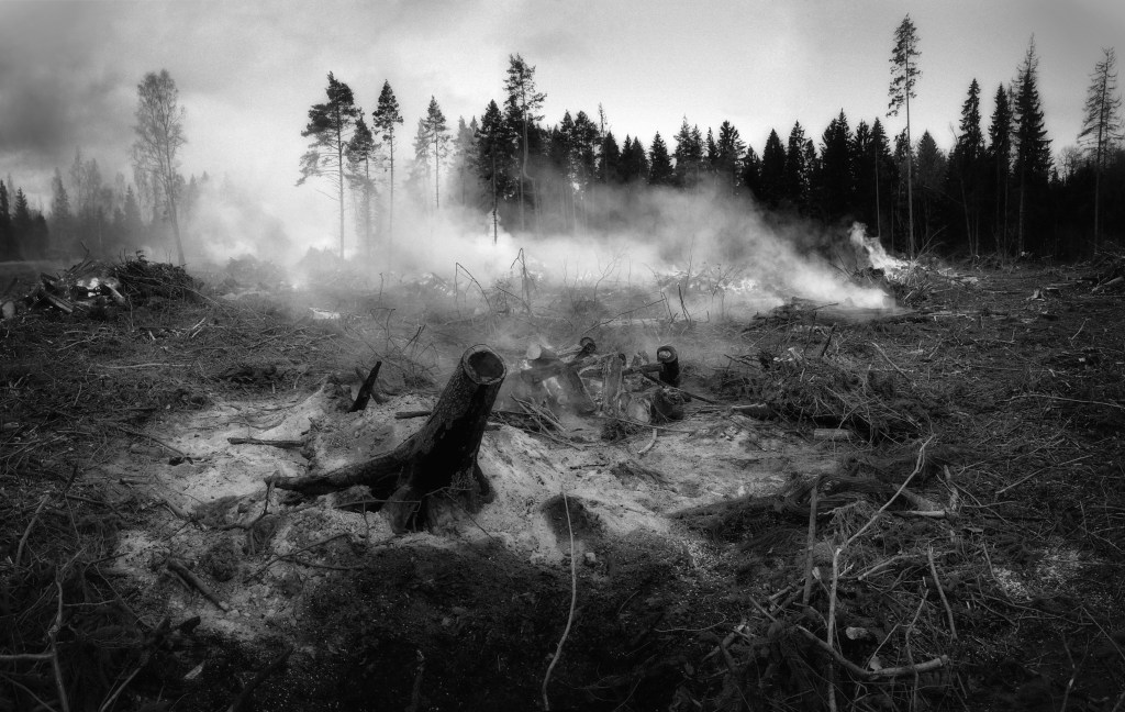 after a fire
