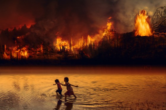 forest fire